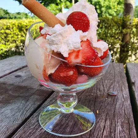 Stacaravan Op Camping De Peelweide Campsite Grashoek